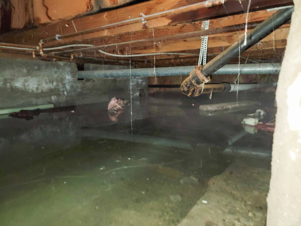 Local water damage restoration in NC