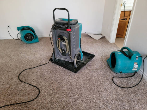Best Flooded house restoration  in Hope Mills, NC