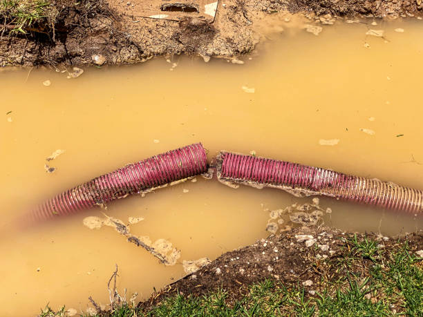 Best Water damage contractors near me  in Hope Mills, NC